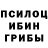 Псилоцибиновые грибы мухоморы Stefanos Photiou