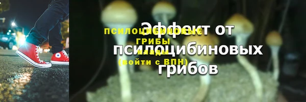 таблы Армянск