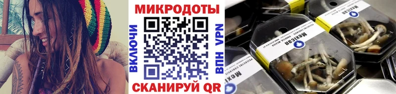 KRAKEN как зайти  Ржев  Галлюциногенные грибы Cubensis  где купить  